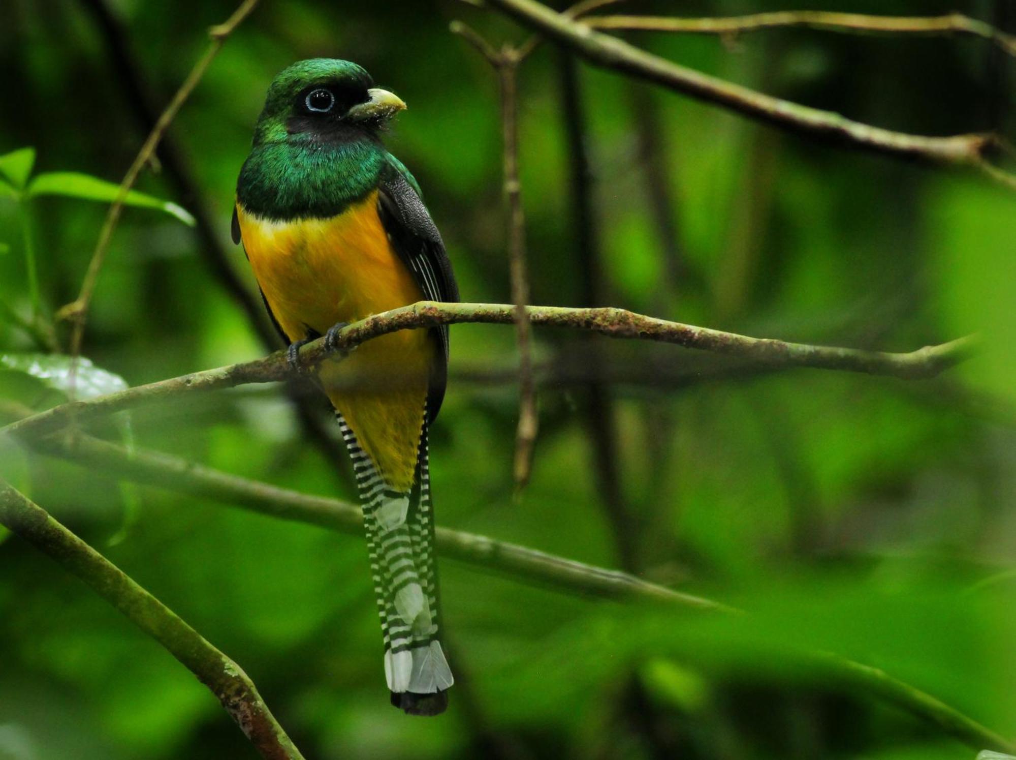 Las Arrieras Nature Reserve And Ecolodge Horquetas Exterior foto